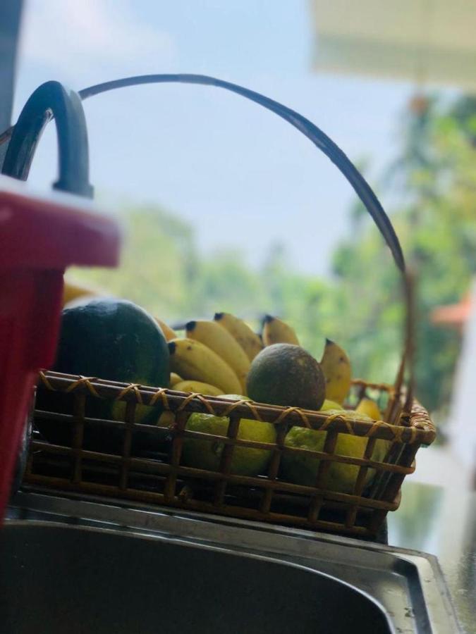 Finch Tangalle Ngoại thất bức ảnh