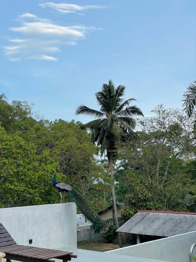Finch Tangalle Ngoại thất bức ảnh