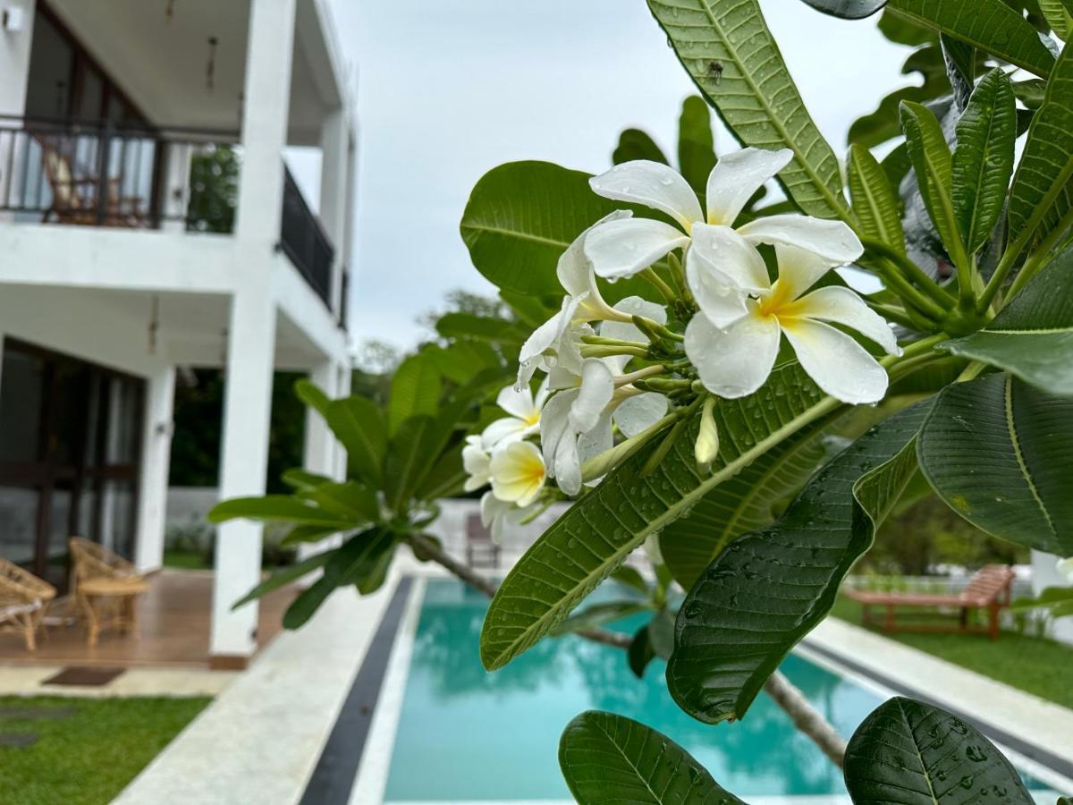 Finch Tangalle Ngoại thất bức ảnh