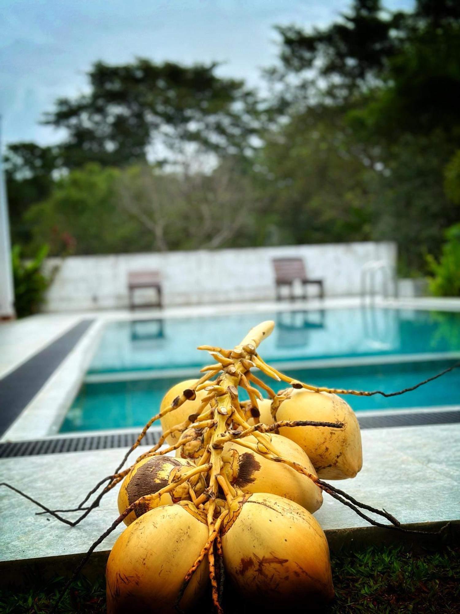 Finch Tangalle Ngoại thất bức ảnh