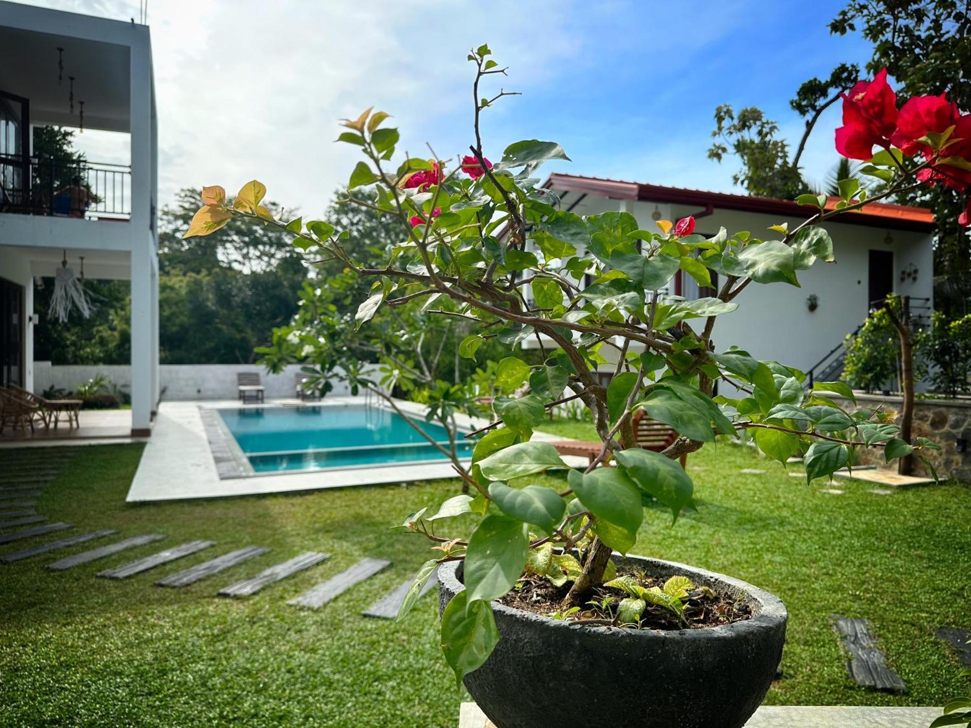 Finch Tangalle Ngoại thất bức ảnh